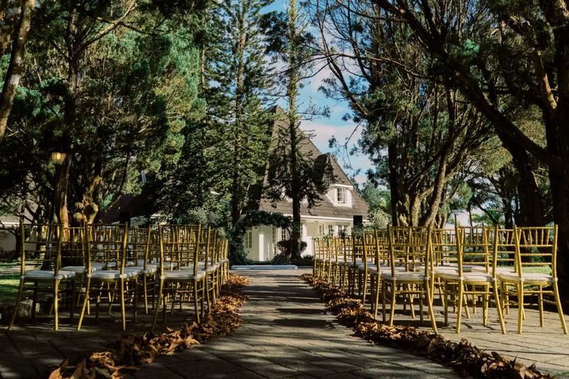 Gold chairs lining the driveway toward the mansion